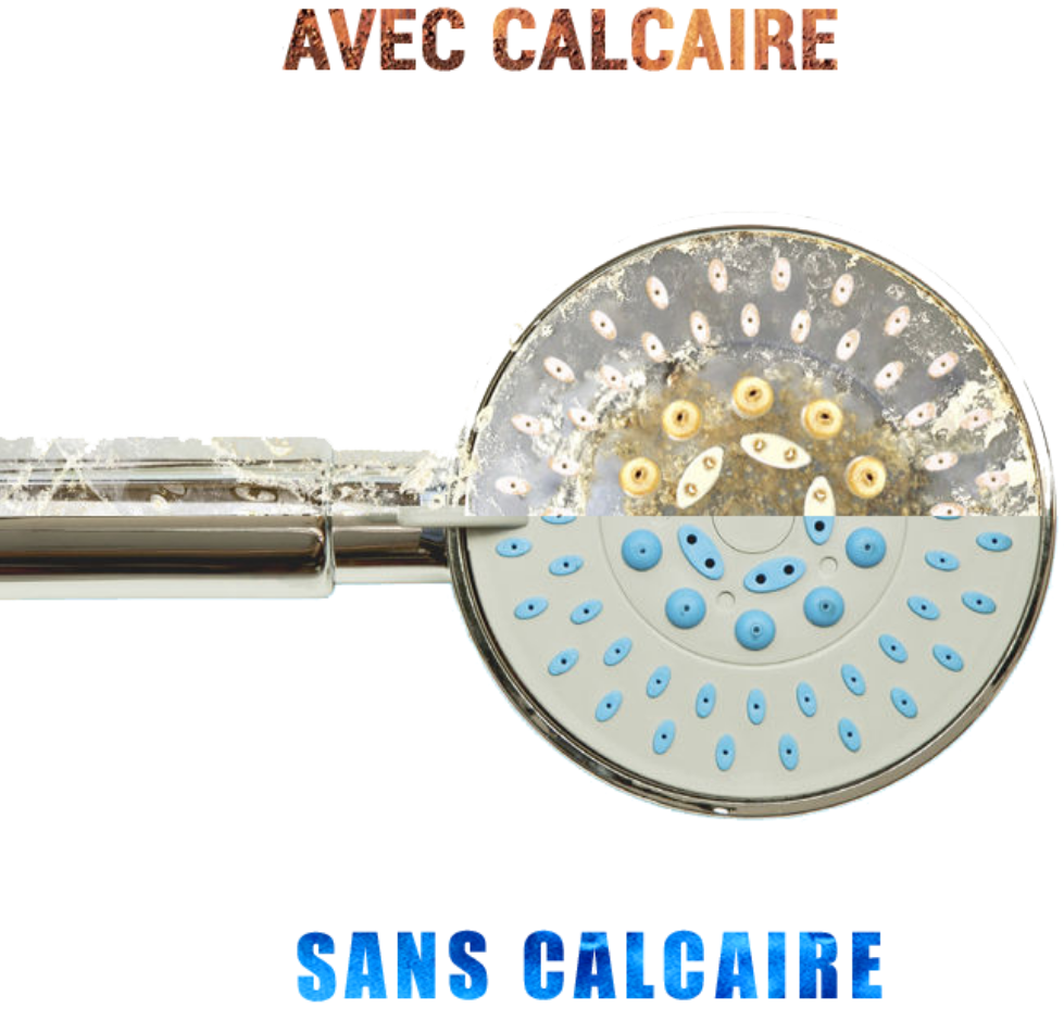 pomeau